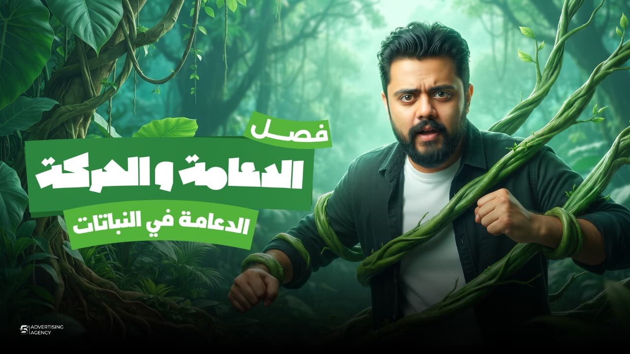 واجب المحاضره الاولي