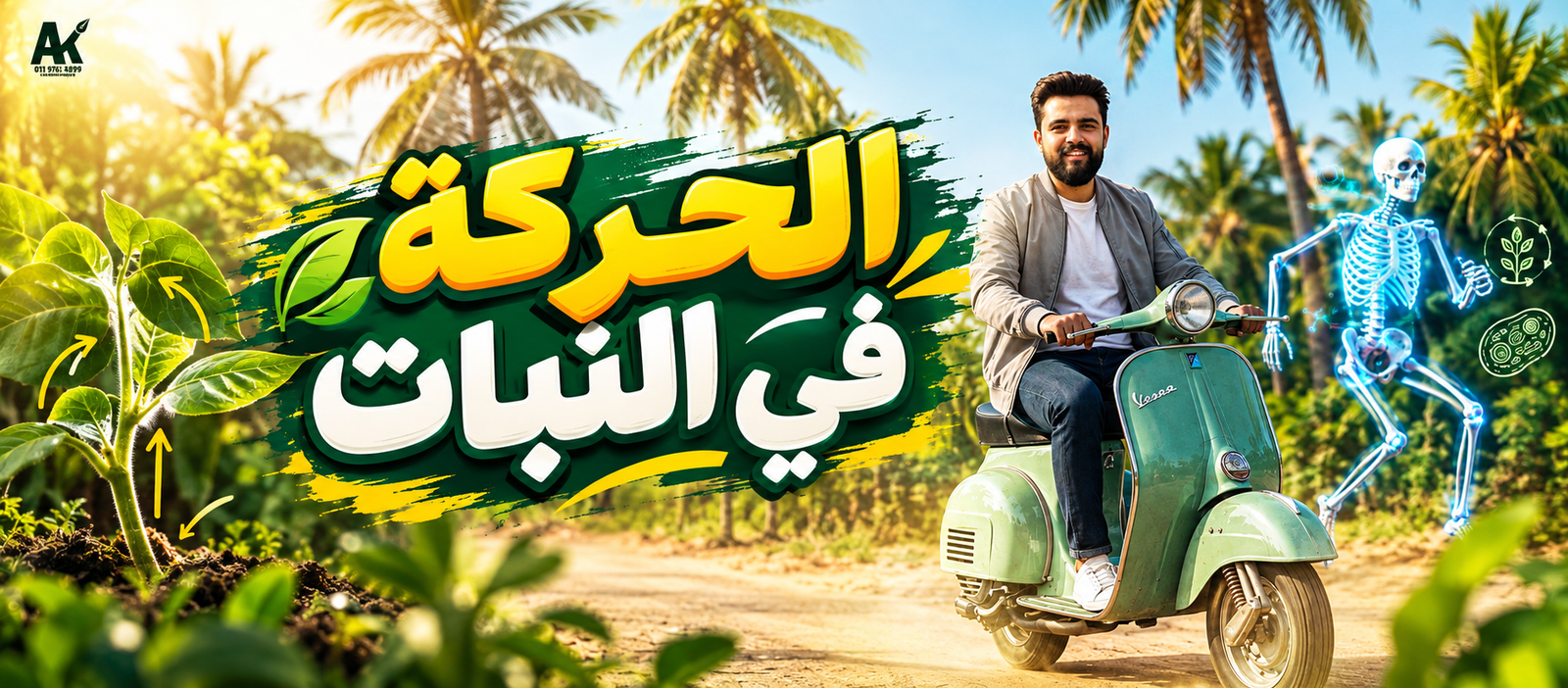 شرح الحركة في النبات